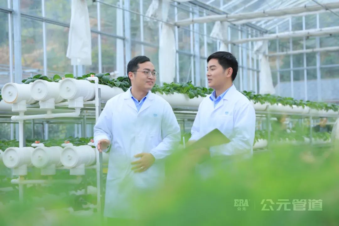 J9游戏(中国)-官方网站